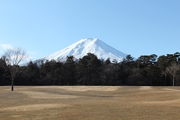 富士山ビュー（諏訪ノ森自然公園）3