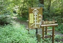 富士登山12