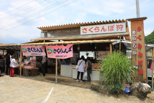 さくらんぼ屋　宮原1