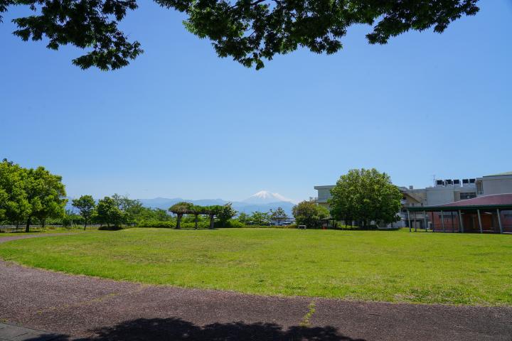 芝生広場