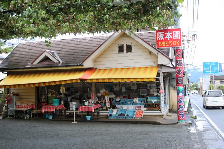 阪本園