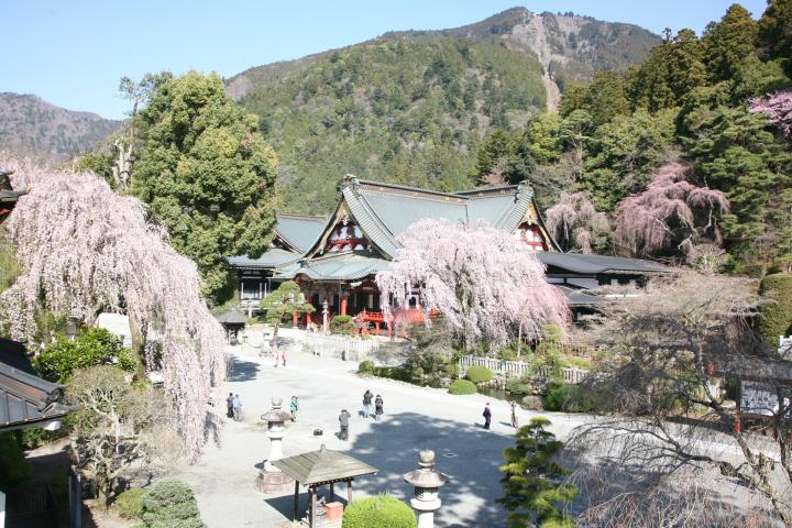身延山久遠寺 富士の国やまなし観光ネット 山梨県公式観光情報