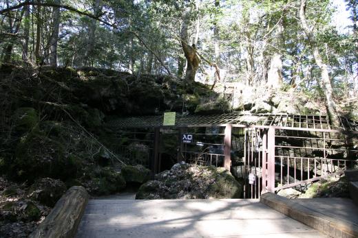 西湖ネイチャーセンター 富士の国やまなし観光ネット 山梨県公式観光情報