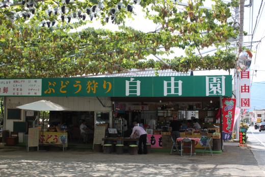 コロナ対策OK！ぶどう農園_自由園