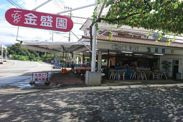 コロナ対策OK！ぶどう農園_金盛園