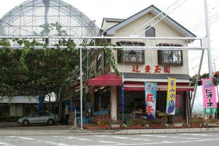 コロナ対策OK！ぶどう農園_辻豊玉園