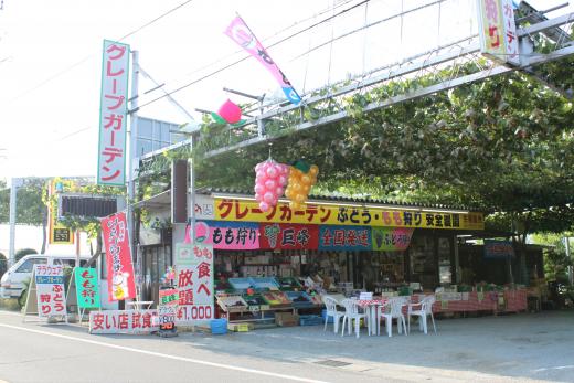 コロナ対策OK！ぶどう農園_グレープガーデン安全農園