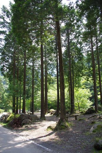 福士川渓谷青少年旅行村3