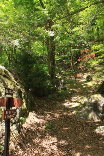 白州観光尾白キャンプ場 富士の国やまなし観光ネット 山梨県公式観光情報