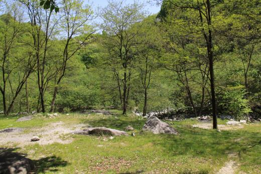 白州観光尾白キャンプ場 富士の国やまなし観光ネット 山梨県公式観光情報