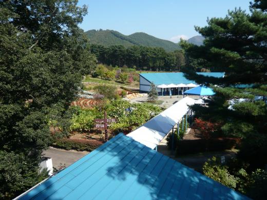 南八ヶ岳　花の森公園6
