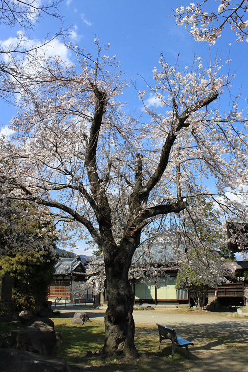 賀茂春日神社（かもかすがじんじゃ）