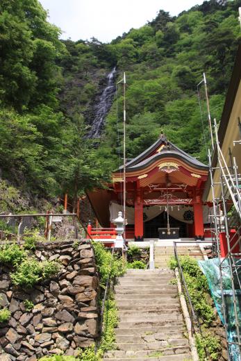 大滝山奥不動尊のつつじ1
