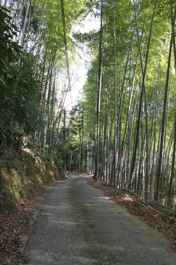 西行公園1