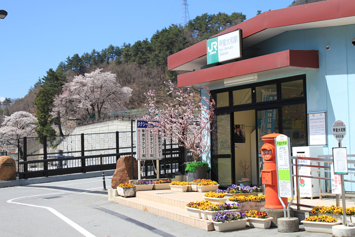 JR甲斐大和駅周辺の桜1