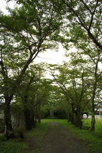 冨士御室浅間神社3