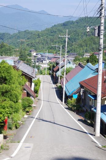 徳栄山妙法寺のあじさい6