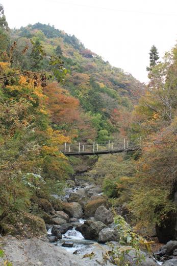 大柳川渓谷・観音滝の紅葉2