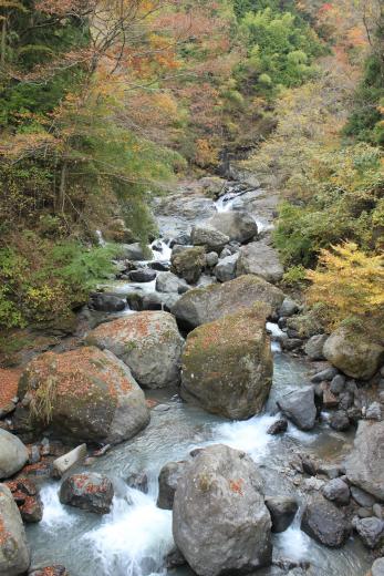 大柳川渓谷・観音滝の紅葉3