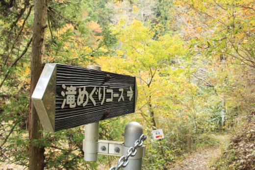 大柳川渓谷・観音滝の紅葉4