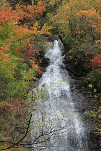 大柳川渓谷 観音滝 富士の国やまなし観光ネット 山梨県公式観光情報