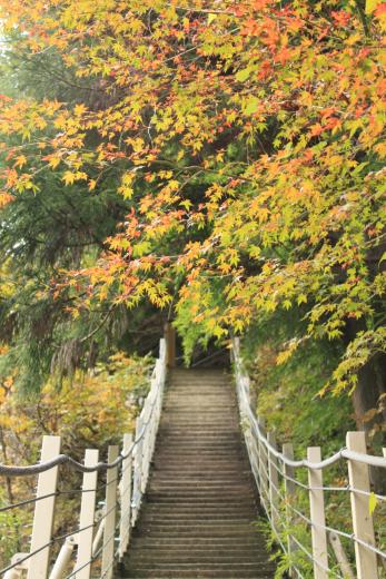 大柳川渓谷・観音滝の紅葉7