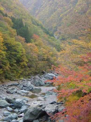 早川渓谷の紅葉1