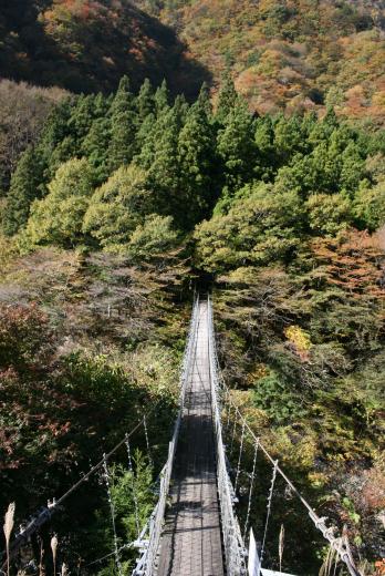 早川渓谷の紅葉2