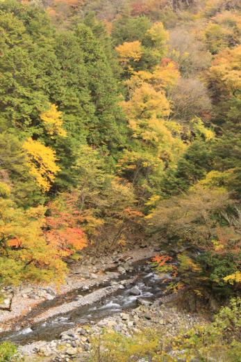 おいらん淵周辺の紅葉4