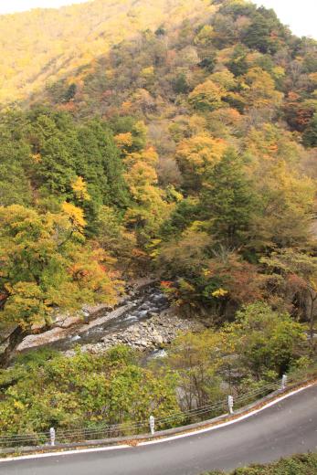 おいらん淵周辺の紅葉5