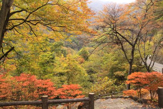 おいらん淵周辺の紅葉6