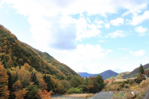 芦川渓谷の紅葉4