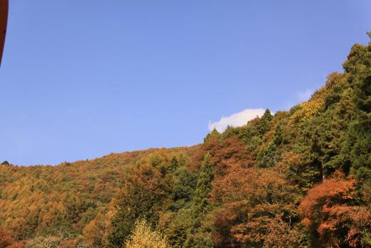 天目山栖雲寺石庭の紅葉1