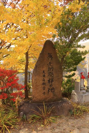 天目山栖雲寺石庭の紅葉3