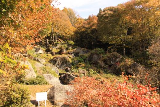 天目山栖雲寺石庭の紅葉4