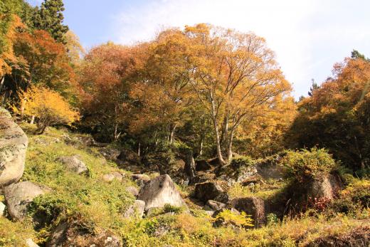 天目山栖雲寺石庭の紅葉6