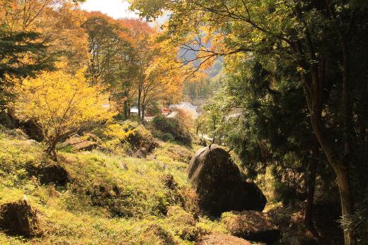 天目山栖雲寺石庭の紅葉8