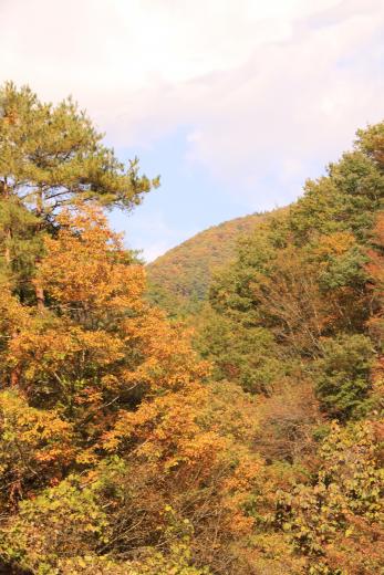 日川渓谷竜門峡の紅葉1