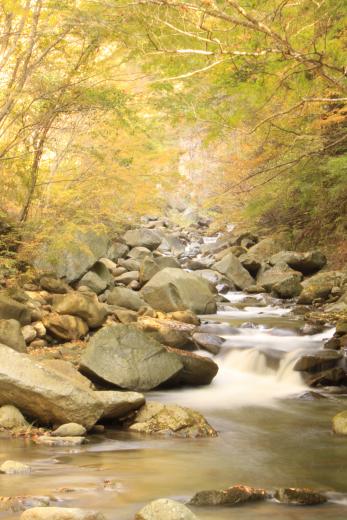 日川渓谷竜門峡の紅葉4