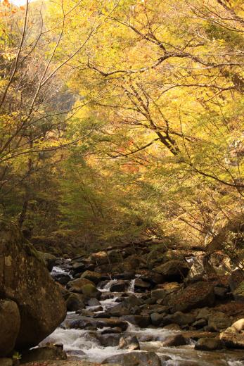 日川渓谷竜門峡の紅葉6