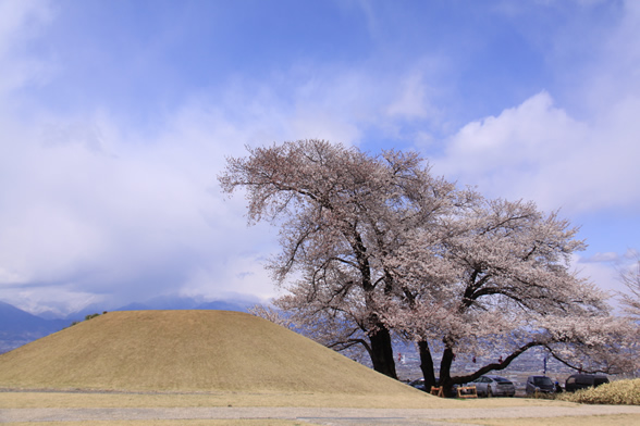 八代ふるさと公園