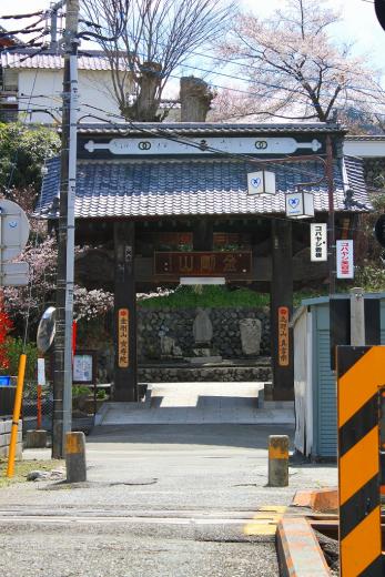 宝寿院の桜10