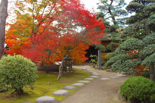 八田家書院の紅葉1