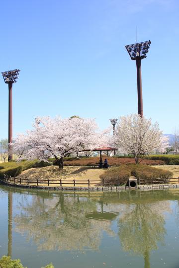 中央市玉穂ふるさとふれあい広場（ちゅうおうしたまほふるさとふれあいひろば）