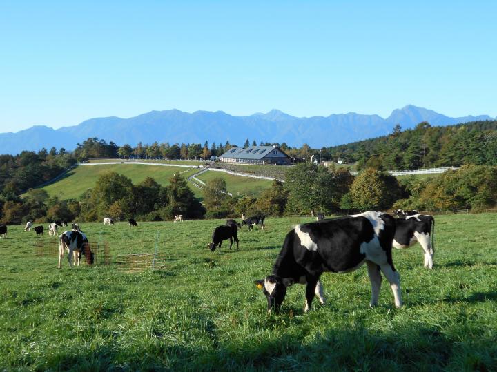 県立まきば公園 富士の国やまなし観光ネット 山梨県公式観光情報