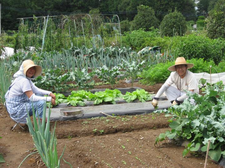 高根クラインガルテン 富士の国やまなし観光ネット 山梨県公式観光情報