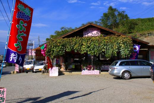 コロナ対策OK！ぶどう農園_内田フルーツ農園