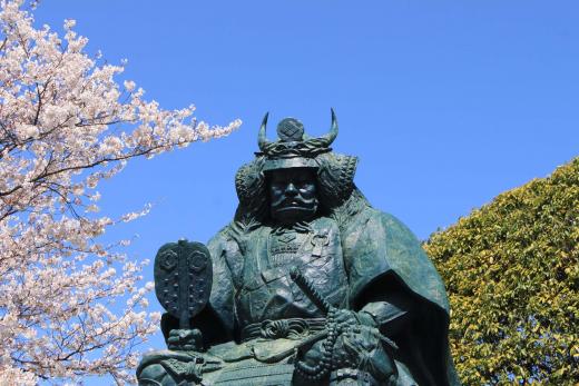 武田信玄公像の桜2