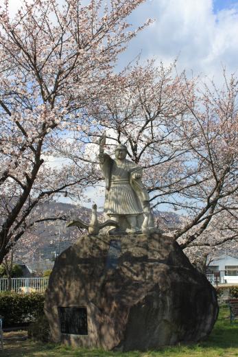 笛吹川の桜並木6