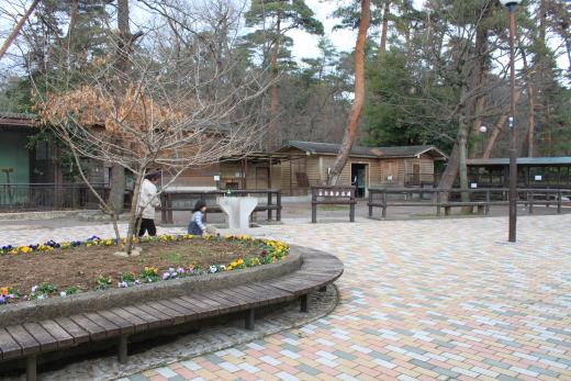 万力公園ふれあい動物広場6